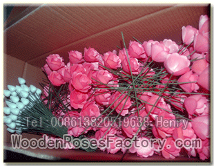 Wodoen Circle Roses