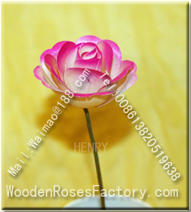 Henry Wooden Cirle Roses