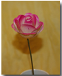 wooden circle rose